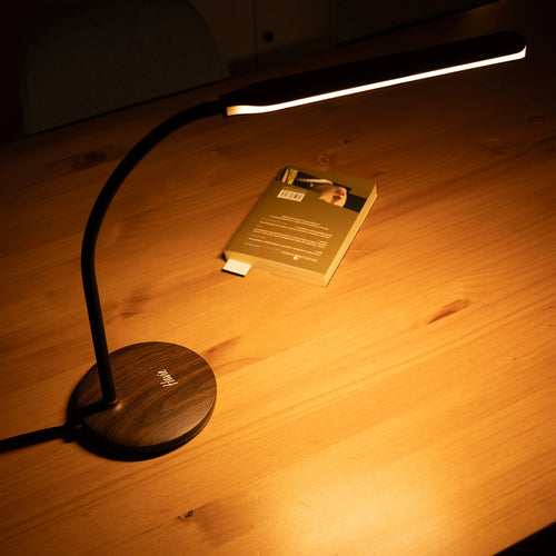 Just A Reading Light