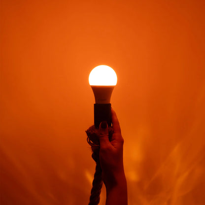 Blue Light Blocking Bulb